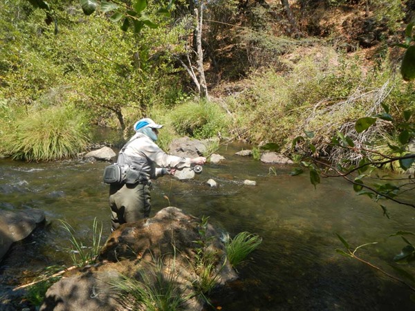 Fishing Report Image