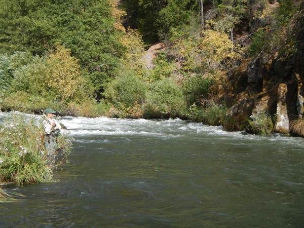 Fishing Report Image