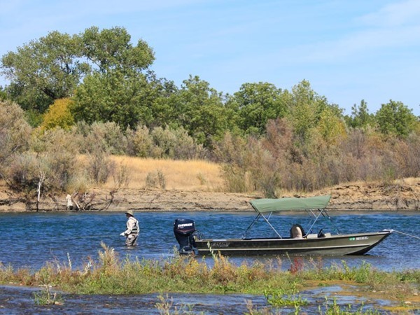 Fishing Report Image
