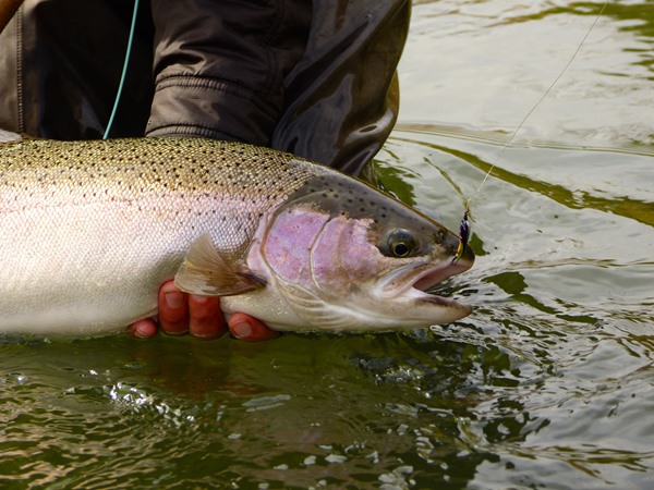 Fishing Report Image