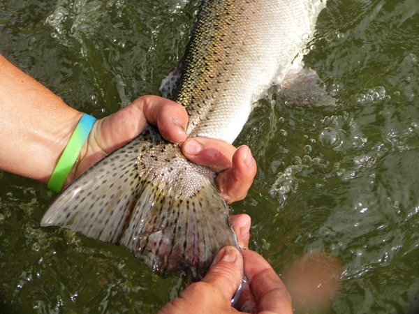Fishing Report Image