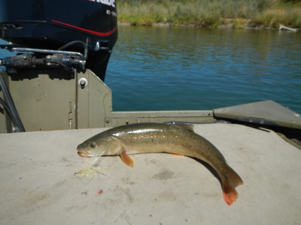 Fishing Report Image