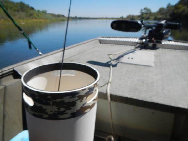 Fishing Report Image