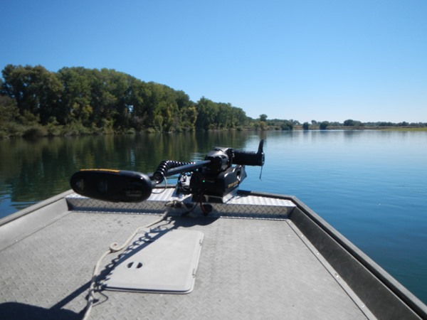 Fishing Report Image