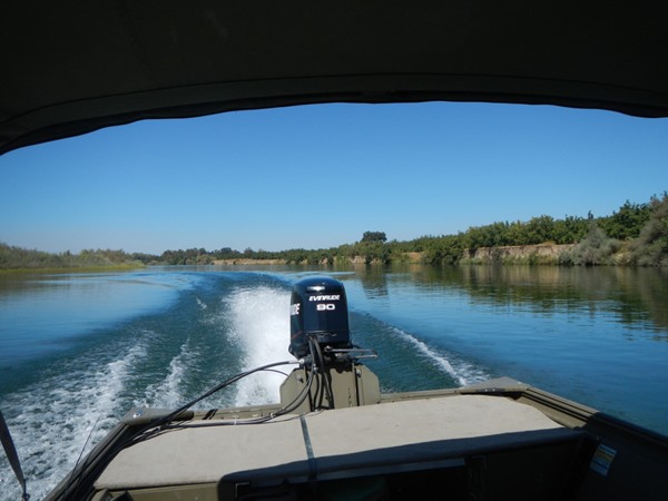 Fishing Report Image