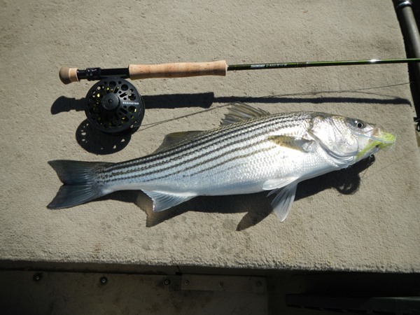 Fishing Report Image