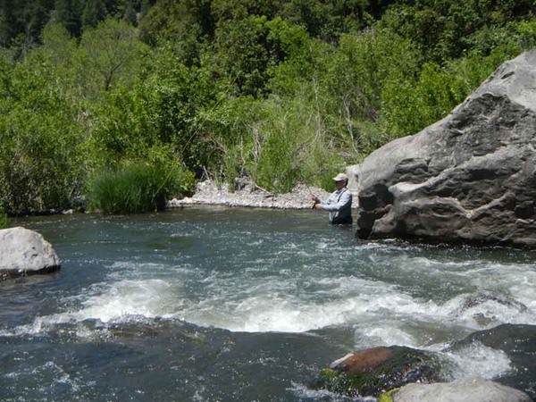 Fishing Report Image