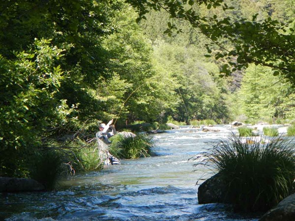 Fishing Report Image