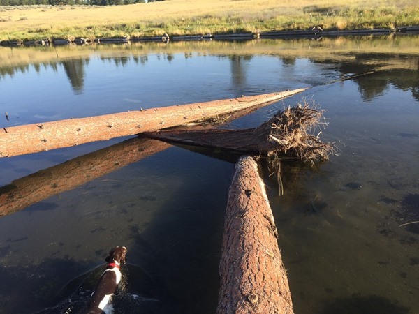 Fishing Report Image