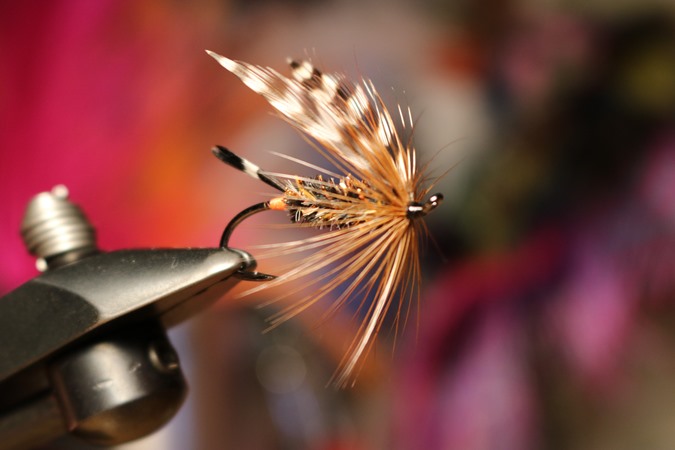 Fishing Report Image