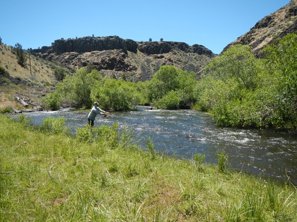 Fishing Report Image