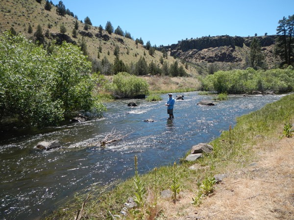 Fishing Report Image