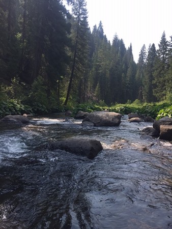 Fishing Report Image
