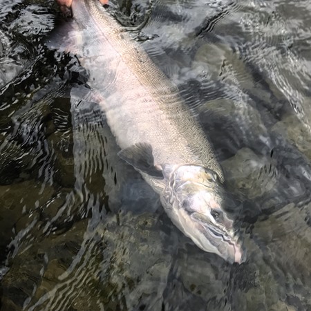 Fishing Report Image
