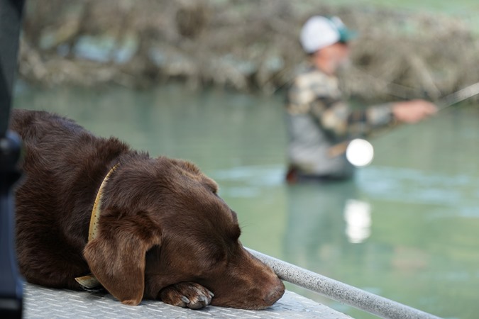 Fishing Report Image