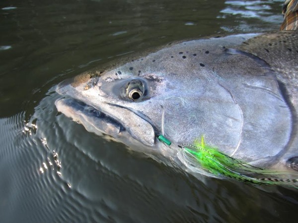 Fishing Report Image