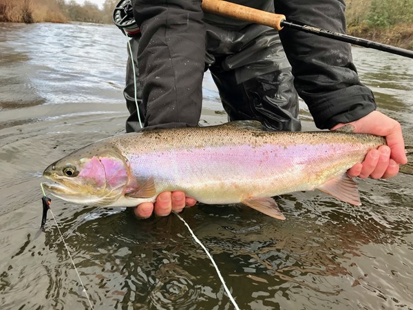 Fishing Report Image