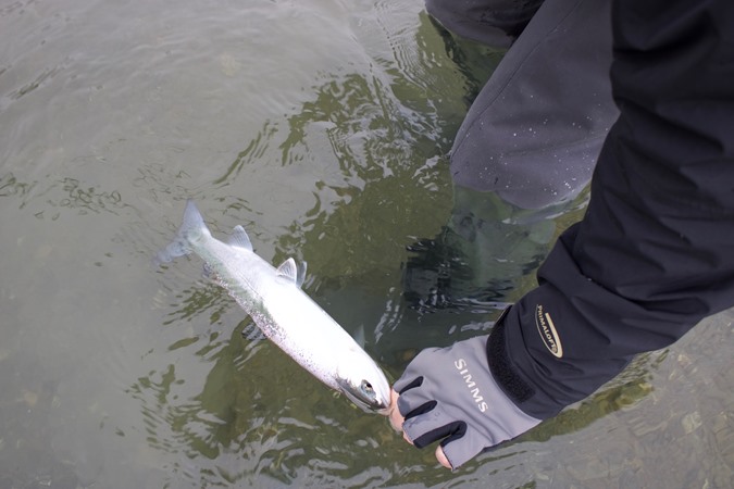 Fishing Report Image