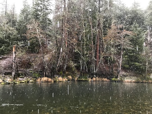 Fishing Report Image