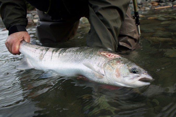 Fishing Report Image