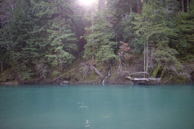 Fishing Report Image