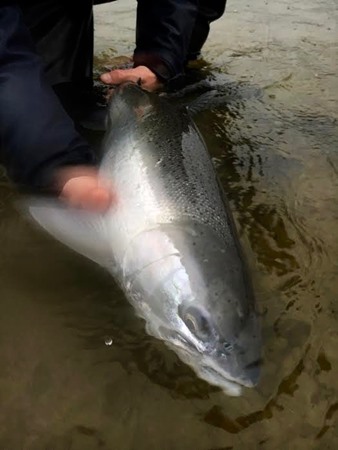 Fishing Report Image