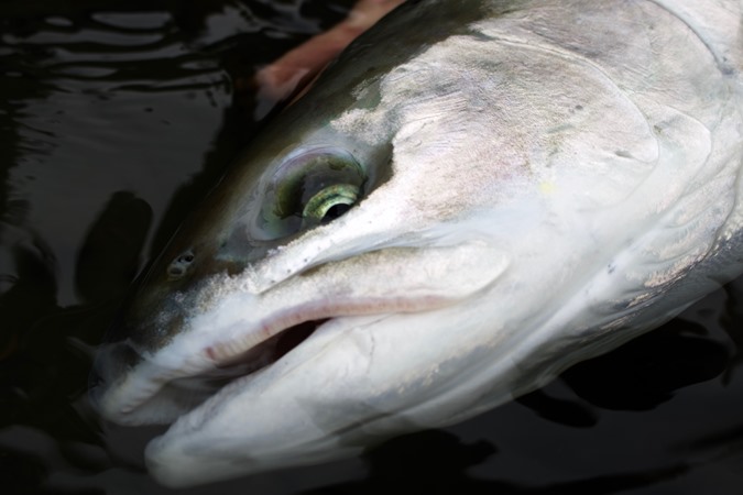 Fishing Report Image