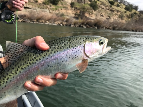 Fishing Report Image