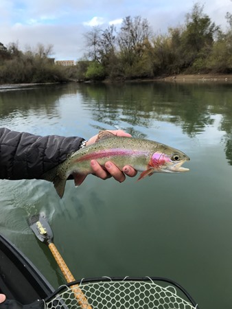 Fishing Report Image