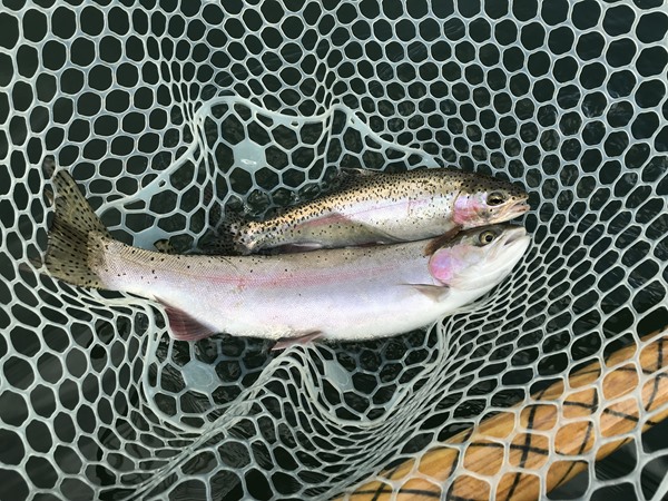 Fishing Report Image