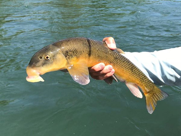 Fishing Report Image