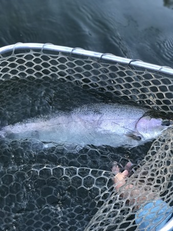Fishing Report Image