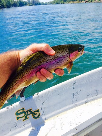 Fishing Report Image