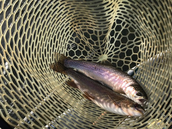 Fishing Report Image