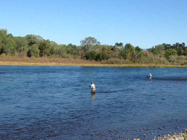 Fishing Report Image
