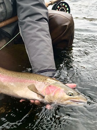 Fishing Report Image