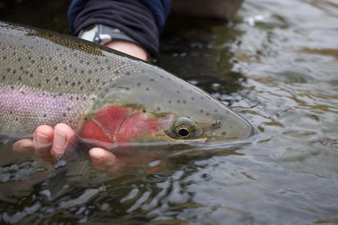 Fishing Report Image