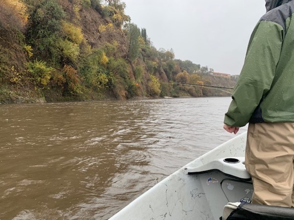 Fishing Report Image