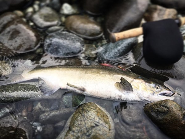 Fishing Report Image