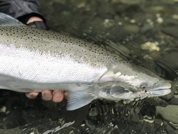 Fishing Report Image
