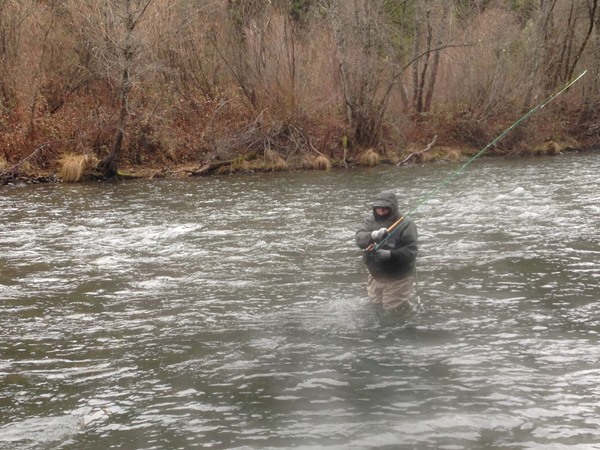 Fishing Report Image