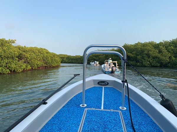 Fishing Report Image
