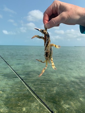 Fishing Report Image
