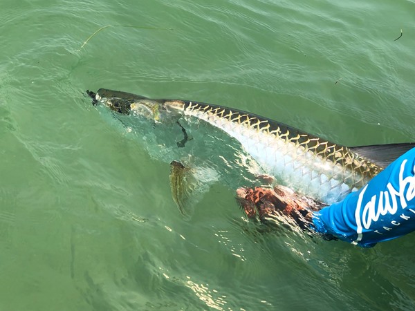 Fishing Report Image