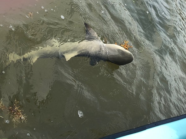 Fishing Report Image