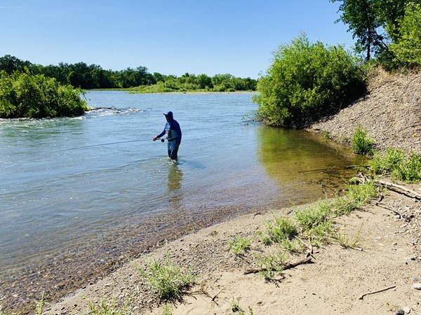 Fishing Report Image