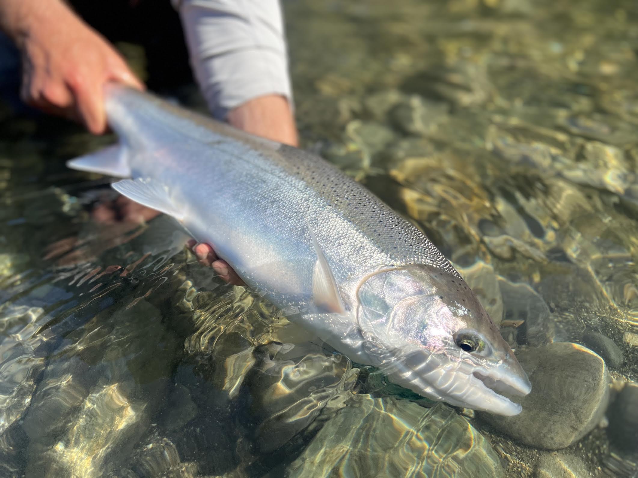 North Coast Fishing Image