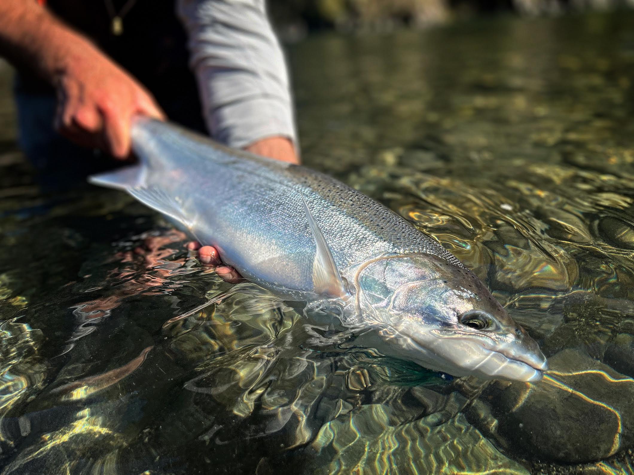 North Coast Fishing Image