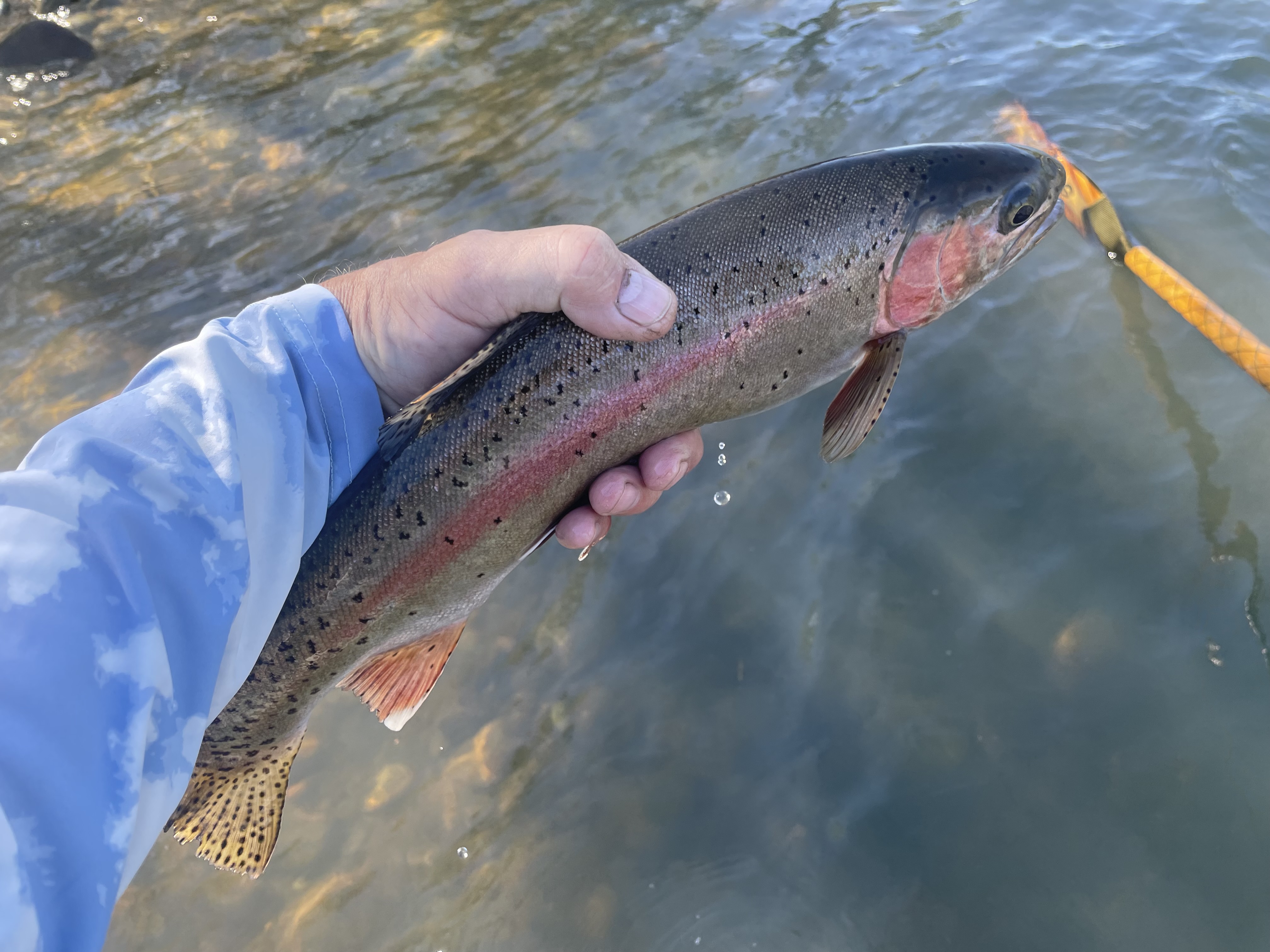 Lower Sac Fishing Image