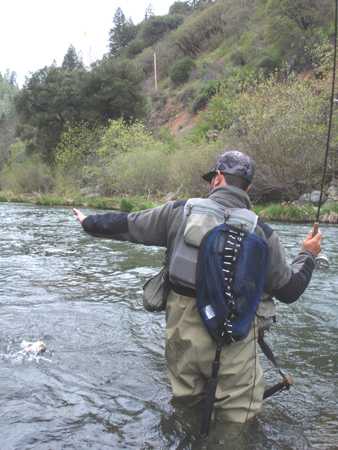 Fishing Report Image